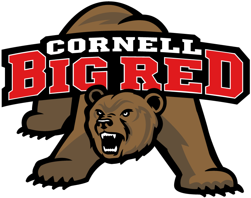 Cornell Big Red 2002-Pres Alternate Logo iron on transfers for T-shirts